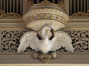 Zwaan op orgel