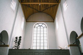 Houten tongewelf